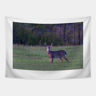 September Deer - White-tailed deer Tapestry