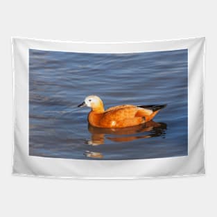 Female Ruddy Shelduck Tapestry