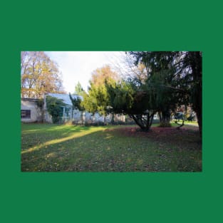 Tree in a park under warm sunlight in autumn T-Shirt