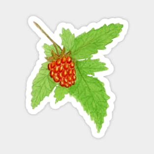 Watercolor Salmonberry Fruit Magnet