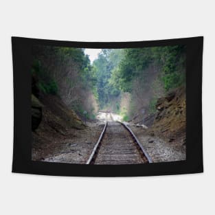 Perspective Cool Train Track Photography Mountain Side Railroad Art Tapestry