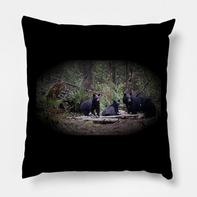 What's going on? Pillow by GuyMartin1