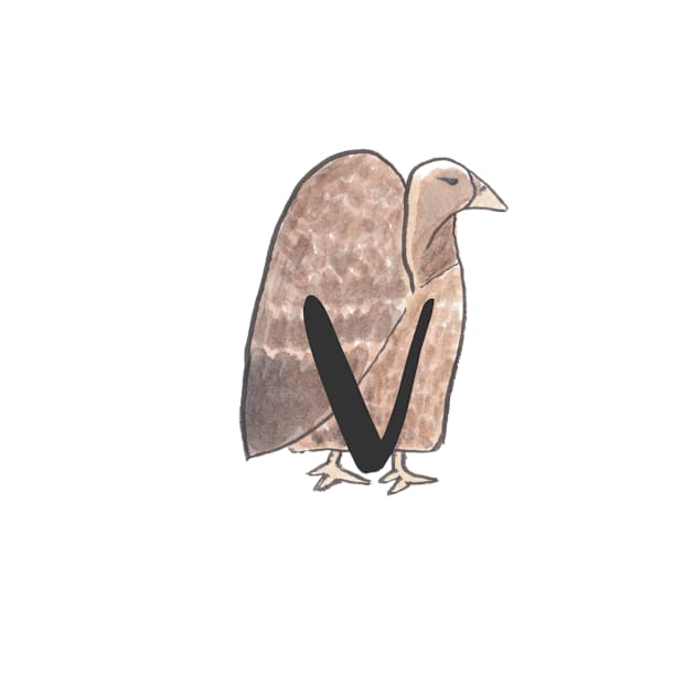 V is for Vulture by littlebigbit