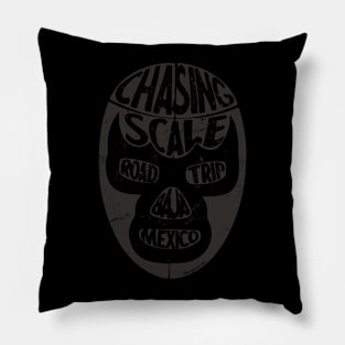 Road Trip down the Baja Peninsula, by Chasing Scale Pillow