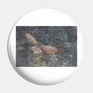 Great Grey Owl Pin