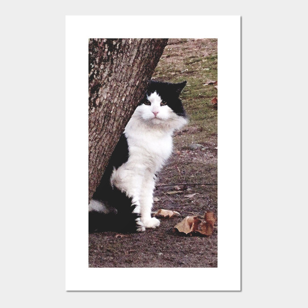 The Charlie Cat The Horde Entertainment Posters And Art Prints