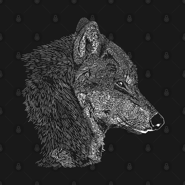 Wolf by DarkChoocoolat