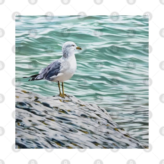 The Philosopher - Ring Billed Gull print by EmilyBickell