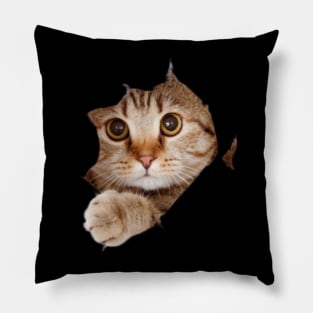 cat lover gifts for cat people Pillow