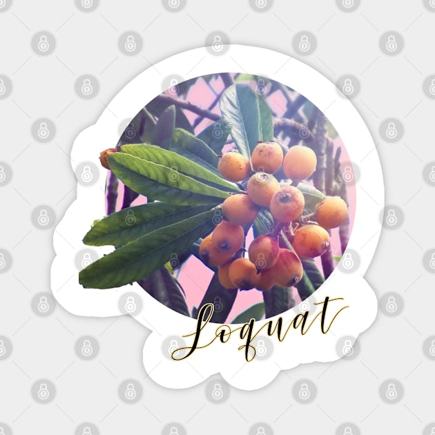 Loquat Magnet by RoxanneG