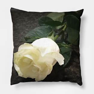 Beautiful single white rose Pillow