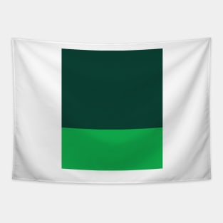 Ireland Rugby Green and White Tricolour Tapestry