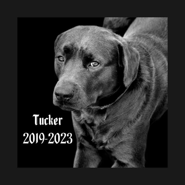 Tucker by Kael Woodswalker