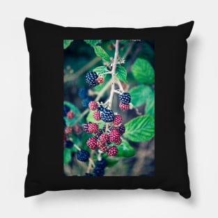 Ripening Blackberries Pillow