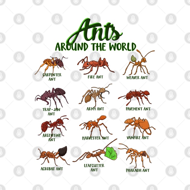 Ants around the world - types of ants by Modern Medieval Design