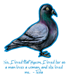 Niola Tesla PIgeon Magnet