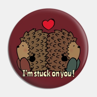 I'm stuck on you! Pin