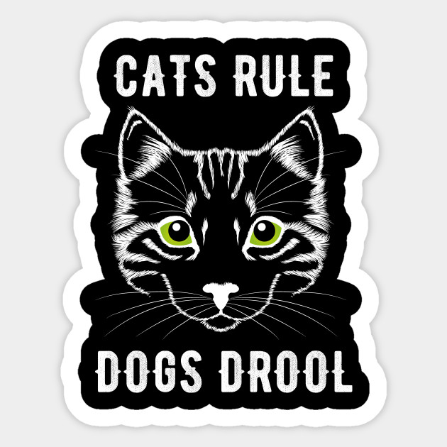 Cats Rule Dogs Drool Funny Cat Sticker Teepublic