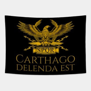 Ancient Classical Roman History Carthago Delenda Est Latin Quote Tapestry