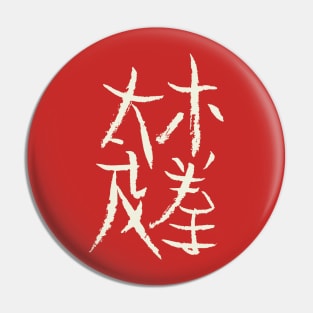 Taichi Chuan Pin