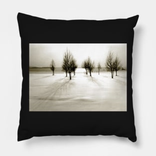 Wintertime in the Netherlands Pillow