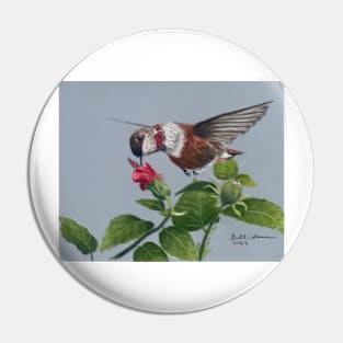 Rufous Hummingbird Pin