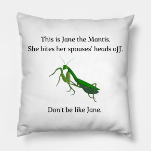 Don't be like Jane! Pillow