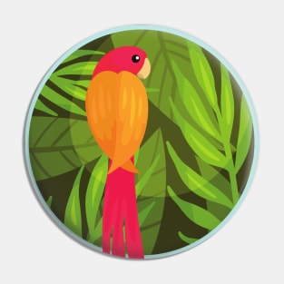 Cute Parrot Pin