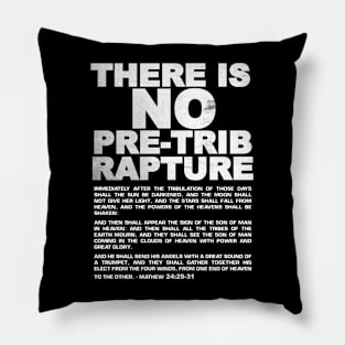 Truth about the Tribulation Pillow