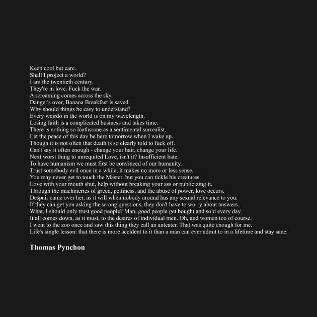 Thomas Pynchon Quotes by qqqueiru