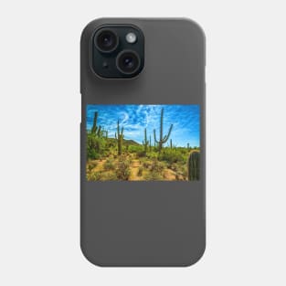 Saguaro National Park Phone Case