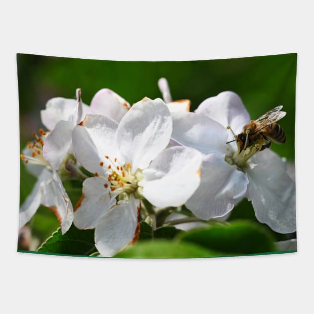 Honey bee on Flowers Tapestry by Kate-P-