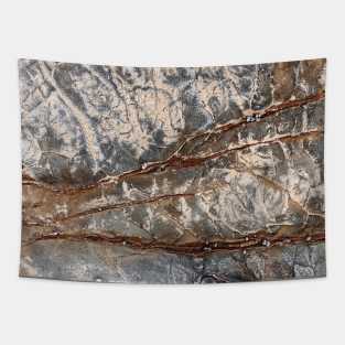 Red & Grey Volcanic Seaside Surface - Alternative Tapestry