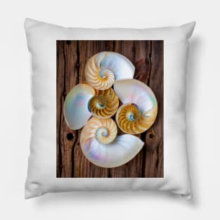 Natures Four Chambered Nautilus Seashells Pillow