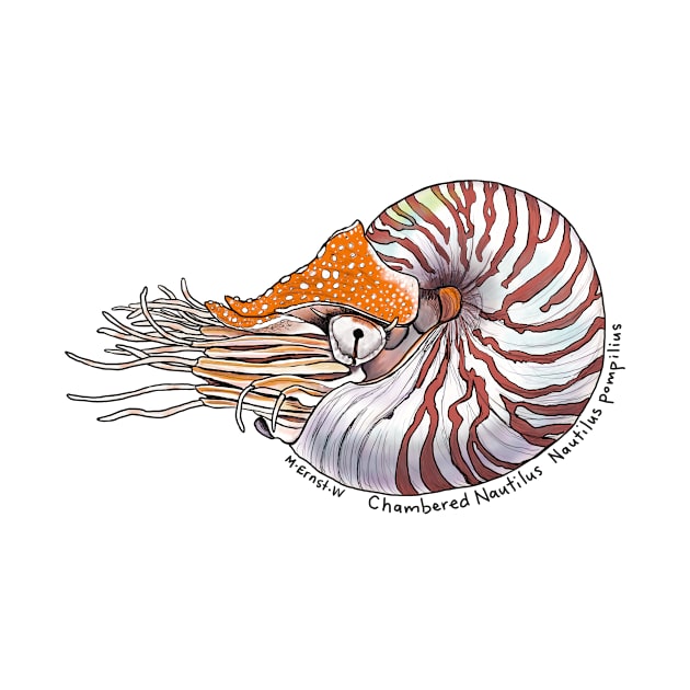 Chambered Nautilus - white by mernstw