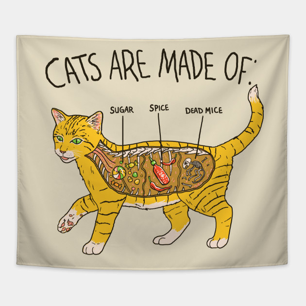 Male Cat Anatomy Anatomical Charts Posters | The Best Porn Website