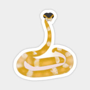 Cute Snake Drawing Magnet