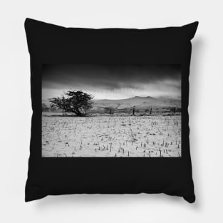 Pen y Fan and Corn Du from Mynydd Illtyd, Brecon Beacons Pillow