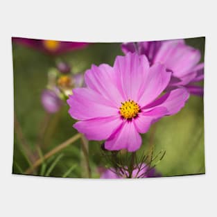 Pink Cosmos Flowers Tapestry