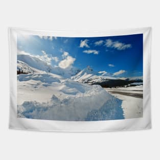 Canadian Rocky Mountains Icefields Parkway Canada Tapestry