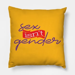 Sex isn't gender Pillow