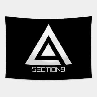 Section 9 Tapestry