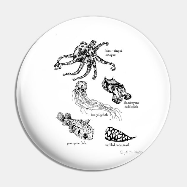 Venomous Sea Life Pin by Elizabeth Weglein Art