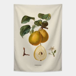 Pear Antique Botanical Illustration Tapestry