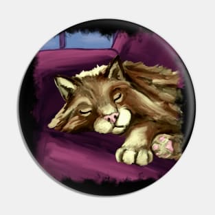 Sleeping cat Pin