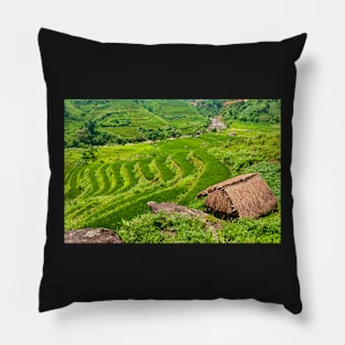 Rice Terraces. Pillow