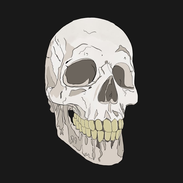 Skull IV by IcarusPoe