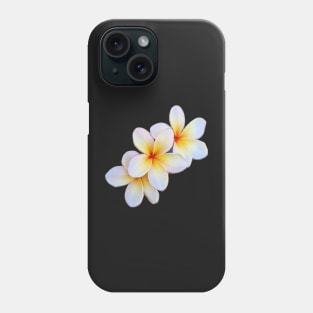 Mango Delight separated 3 blooms Phone Case