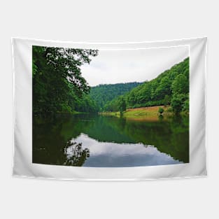 Berwind Lake Tapestry