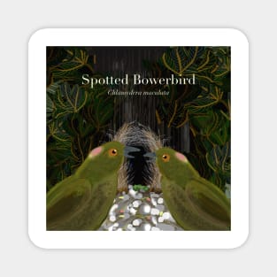 Spotted Bowerbirds (text) Magnet
